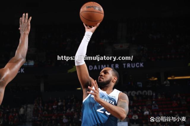 森林狼豪取主场胜利,士气高昂 森林狼豪取主场胜利,士气高昂