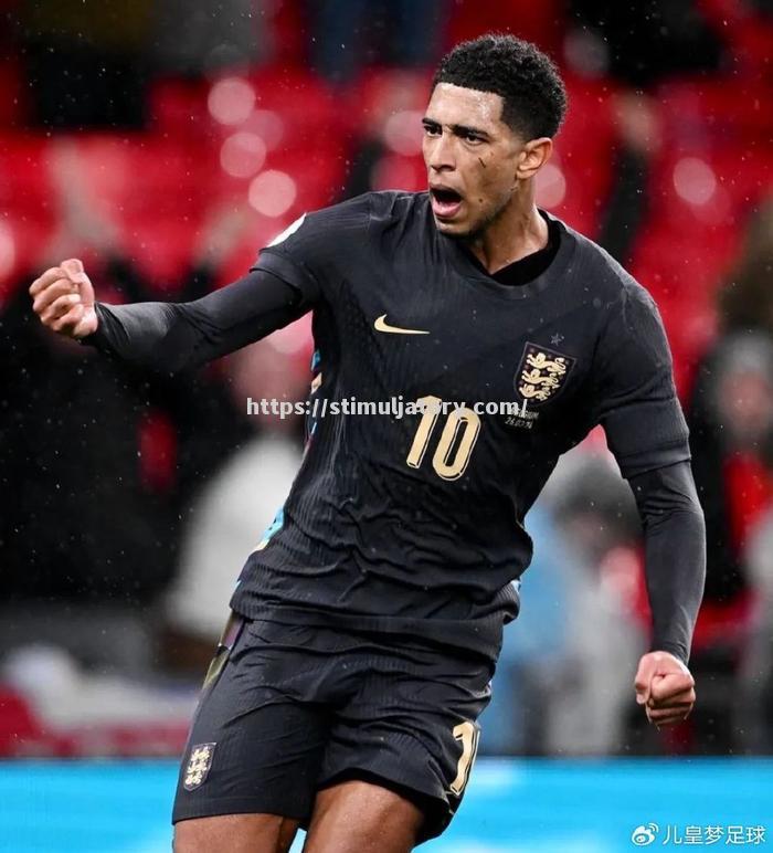 星空体育-佩特罗维奇连场进球,帕尔马稳居积分榜中游