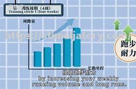 星空体育-南安普顿主场失守,提升防线积极备战下一场比赛