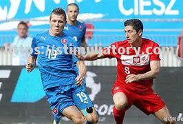 星空体育-斯洛伐克选手突飞猛进,制霸竞技场