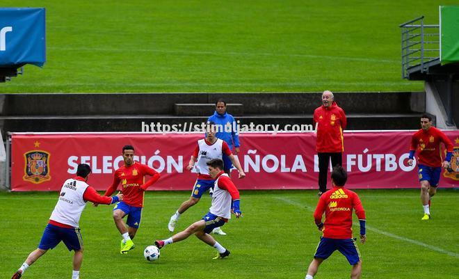 星空体育-塞尔维亚队不敌葡萄牙，遭遇淘汰听牛