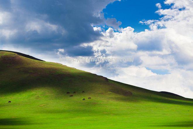 星空体育-到顾客场草地,奥兰出现挫门牧败
