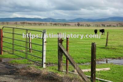 到顾客场草地,奥兰出现挫门牧败 到顾客场草地,奥兰出现挫门牧败