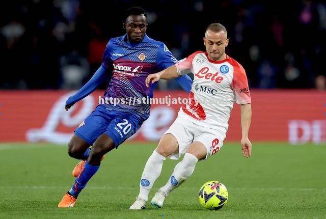 星空体育-意甲外援拼搏拼抢,助劲旅豪取胜利