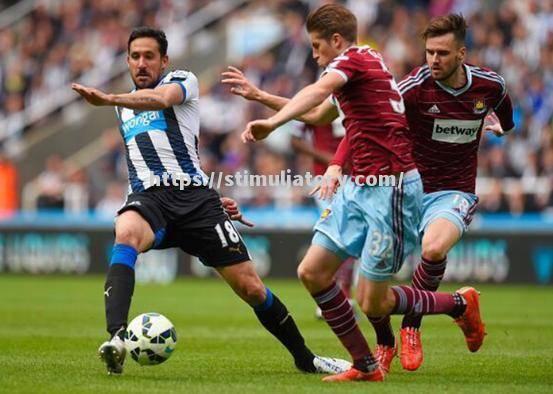 纽卡斯尔连战不胜，保级形势堪忧