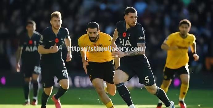 热刺不敌狼队,丢失宝贵积分 热刺不敌狼队,丢失宝贵积分