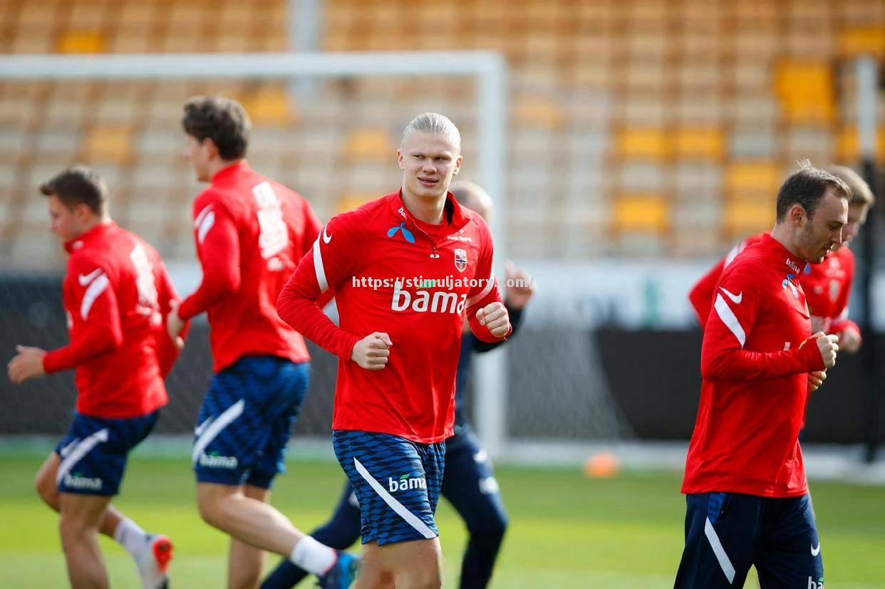 星空体育-意大利失利连胜告终,挪威憾负俄罗斯