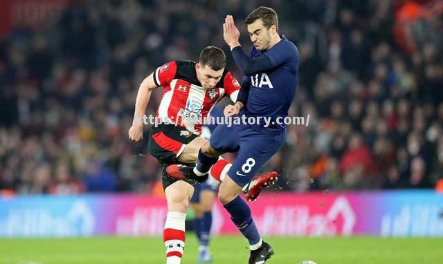 南安普顿不敌对手,保级希望受挫 南安普顿不敌对手,保级希望受挫